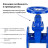 Задвижка клиновая 30ч39р (аналог МЗВ) GVWN1414E-2W-F-S blue Ду50 Ру10/16 фланцевая, корпус - чугун GGG50, уплотнение - EPDM, со штурвалом и невыдвижным штоком, цвет - синий в Алматы