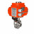 Затвор дисковый поворотный WBV3131E-2W-C-H Ду25 Ру10 кламповый, корпус - пищевая нержавеющая сталь 304, уплотнение - EPDM, с электроприводом QT-N-003EM-O1-24VDC-У1 HARK в Алматы