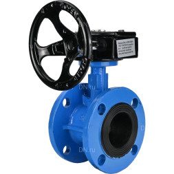 Затвор дисковый поворотный WBV1313E-2W-F-H Ду80 Ру16 фланцевый, корпус - чугун GGG40, диск - чугун GGG40, уплотнение - EPDM, с редуктором RDN RQN1-150Z-T24