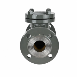 Клапан обратный 19с53нж VCT2121-F Ду80 Ру40 фланцевый, поворотный, корпус - низкоуглеродистая сталь, затвор - низкоуглеродистая сталь