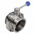 Затвор дисковый поворотный кламповый WBV3131E-2W-C-H Ду65 Ру10 корпус - пищевая нержавеющая сталь 304, уплотнение – EPDM, присоединение - кламп (clamp), с рукояткой в Алматы